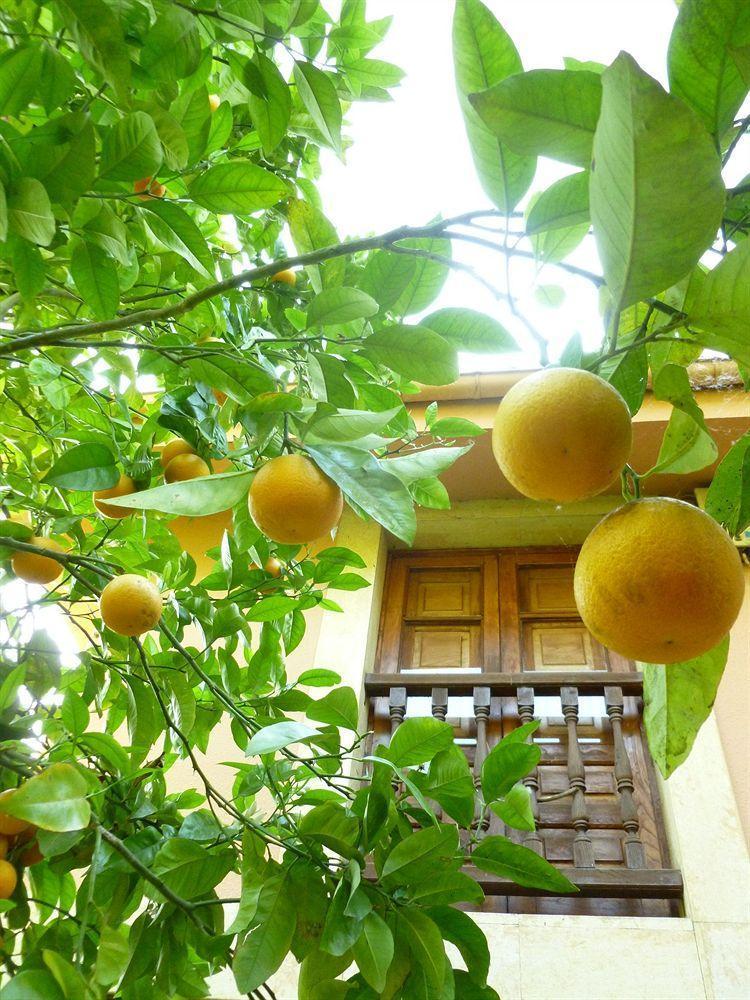 Hotel Rural La Balconada オビエド エクステリア 写真